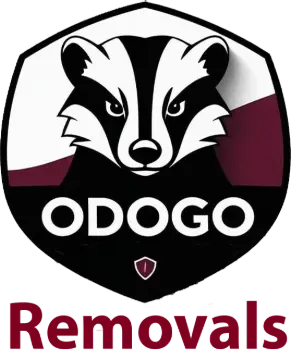 Odogo Limted