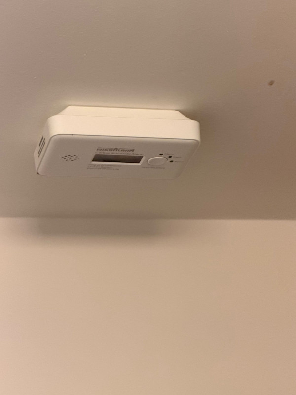 Image-1