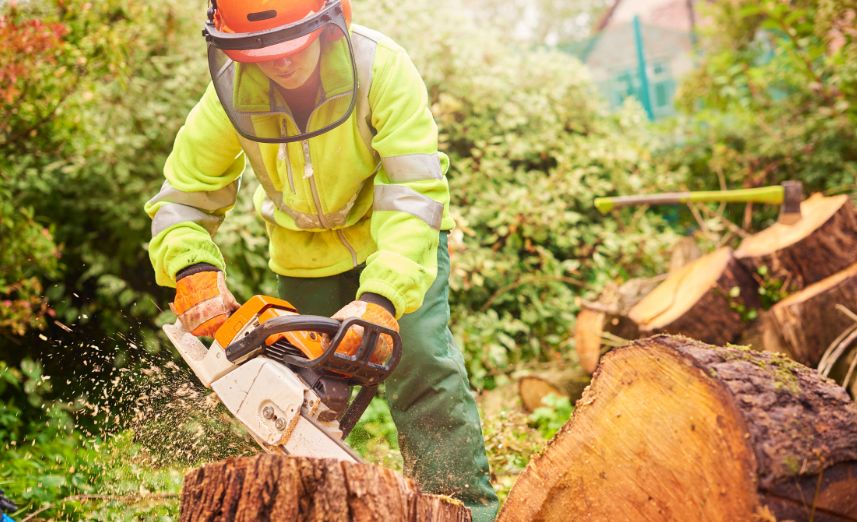Tree Surgeons