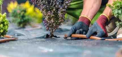 Cost of Drip Irrigation System