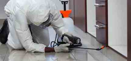 Does Home Insurance Cover Pest Control? Everything You Need to Know
