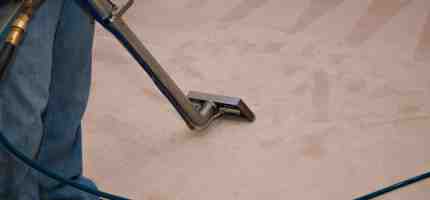 Professional Carpet Cleaners Cost
