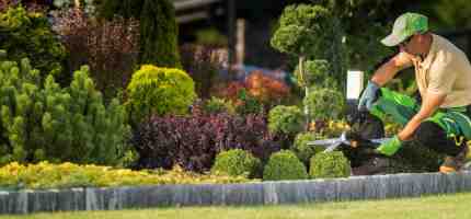 How Much Does Garden Landscaping Cost?